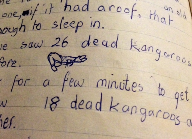 FlindersRanges_deadkangaroos