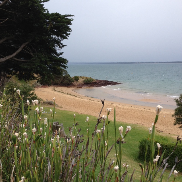 phillip island - Jan14