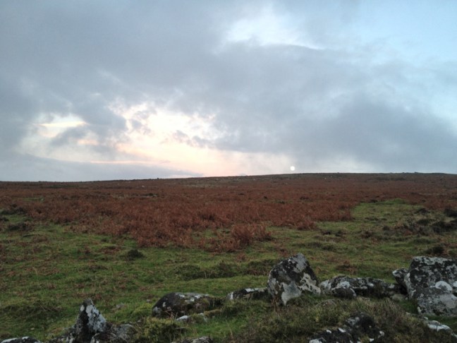 Dartmoor - 2ndvillage_20cm