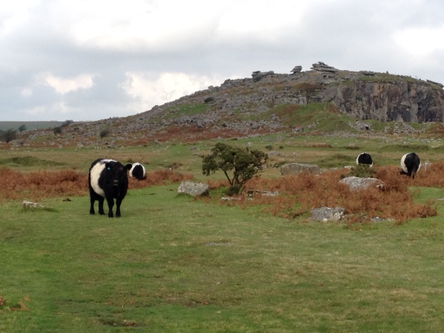 BodminMoor1