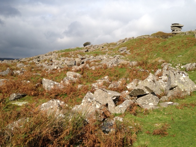 Bodmin Moor
