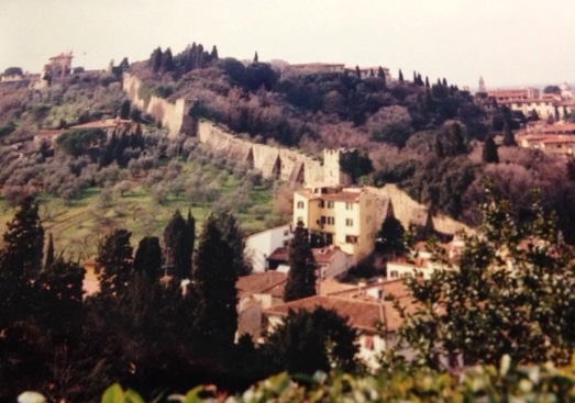 florence country wall