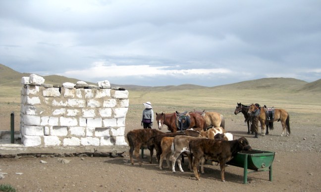 Day 2 watering station