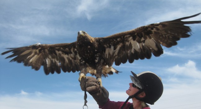 Day 4 - Me with a golden eagle. Gorgeous.