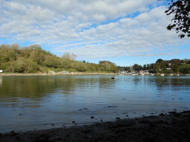 Cornwall_GillanCreek