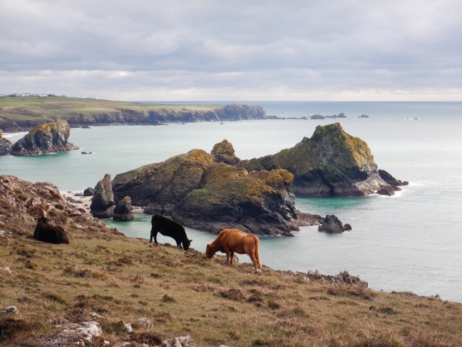 Cornwall_Kynance Cove