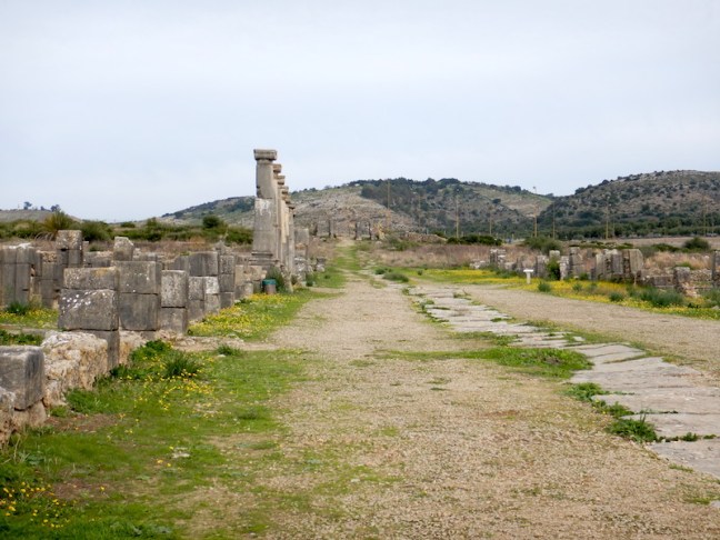 morocco_volubilis1