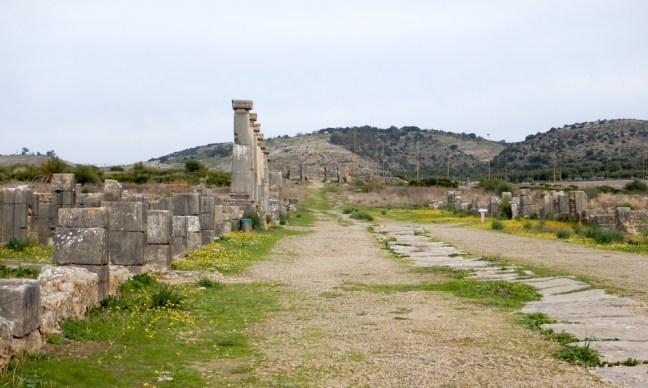 Morocco_Volubilis6